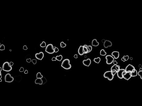 Honda model beautiful gallery