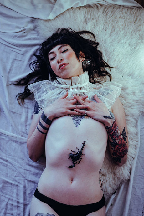 Hexapoda best star photo