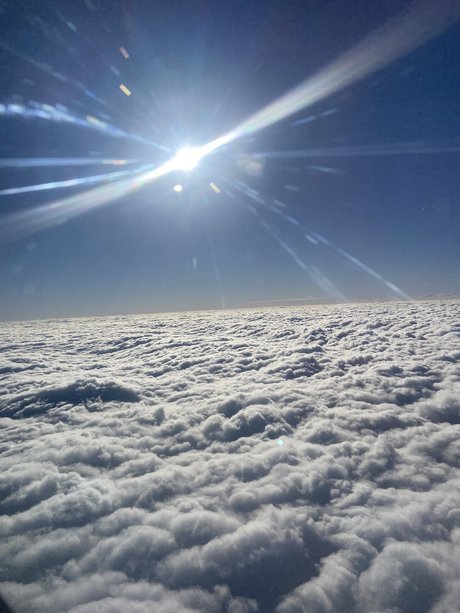 Eleazar Morales pornstar adult images