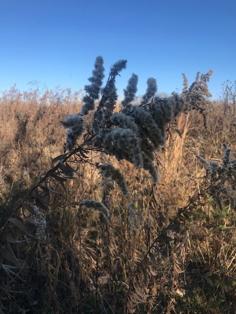 harper model pornographic picture