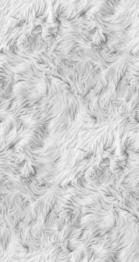 Florci erotic model galleries