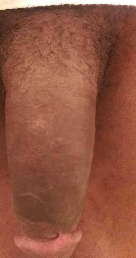 D Anthony sexy star galleries