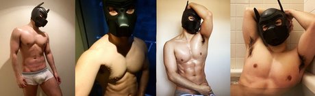 foccaseal star pretty img