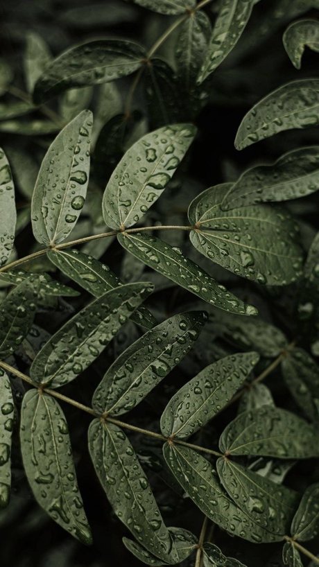 Ms Maleficent xxx pornstar photo