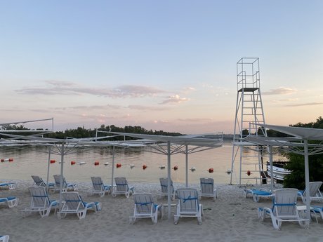 Ms Catty sex star pics