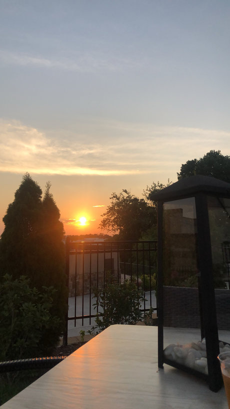 Tony Gram naked actress photo