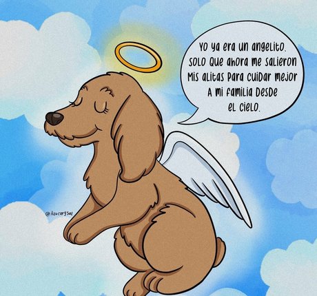 Azucarysal best model photos