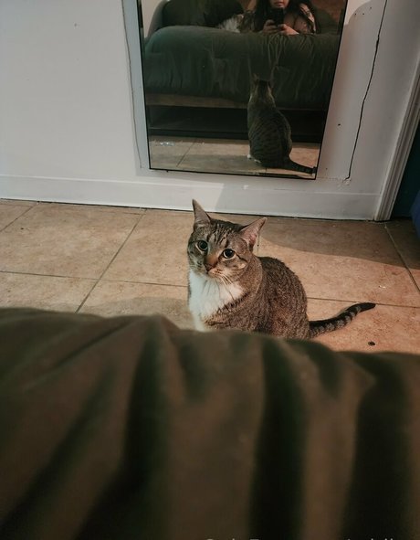 adriivy porn actress pic