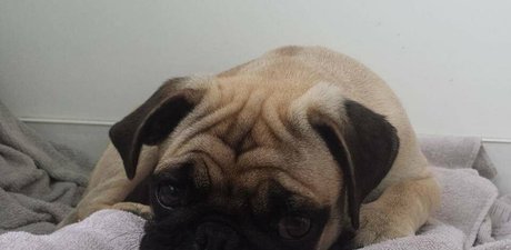 himeonisama beautiful model photo