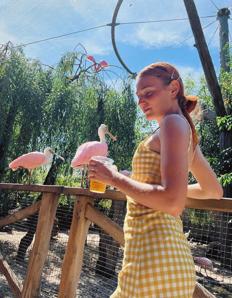 ladykiller vip star xxx images