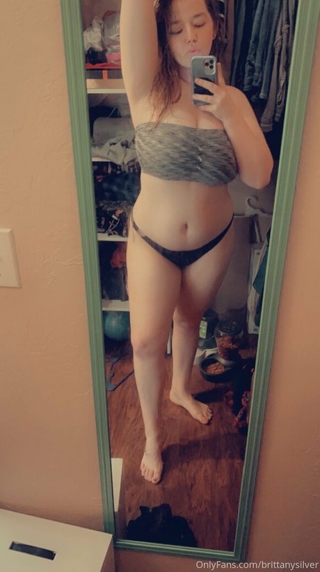 brittanysilver star free picture