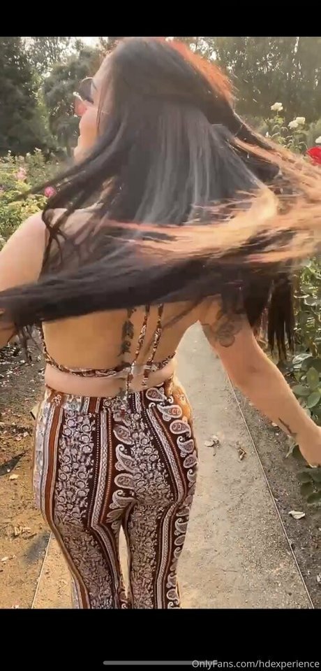 hdexperience perfect pornstar galleries