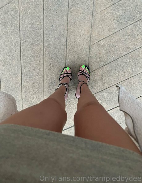 trampledbydee star beautiful image