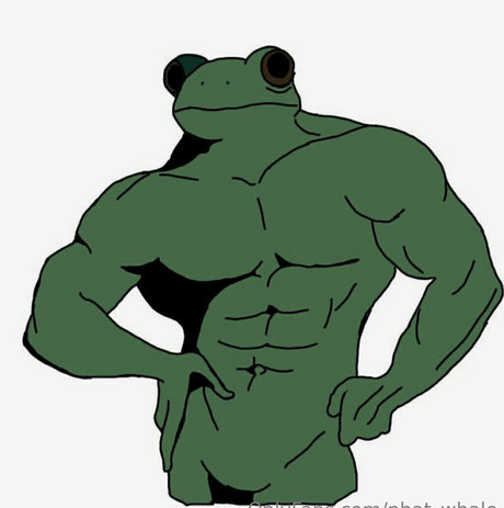 phat whale hot star gallery