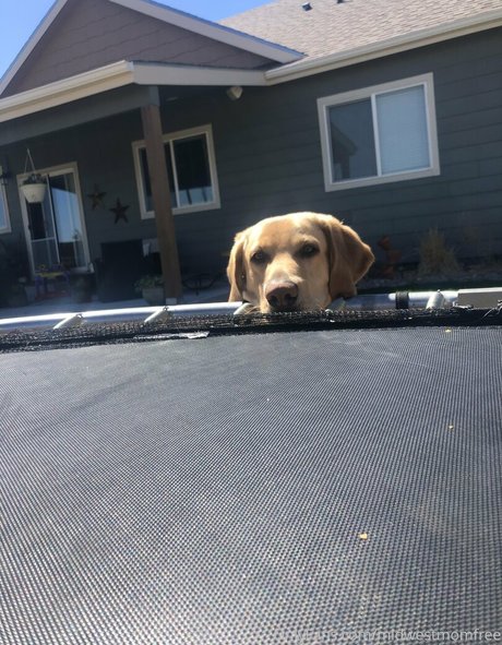 midwestmomfree free model image