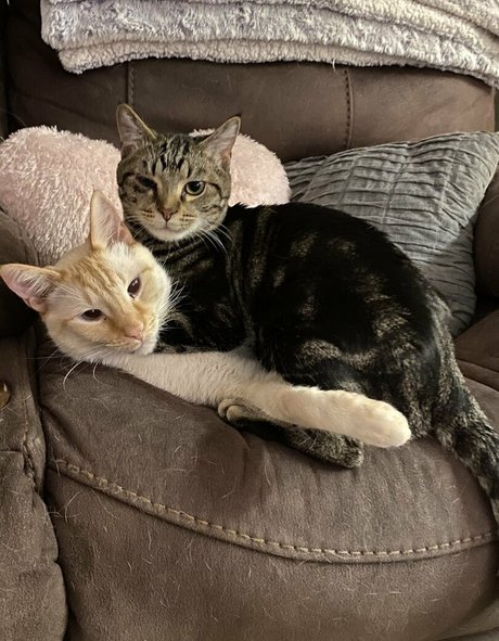 savanahroses star exclusive pictures