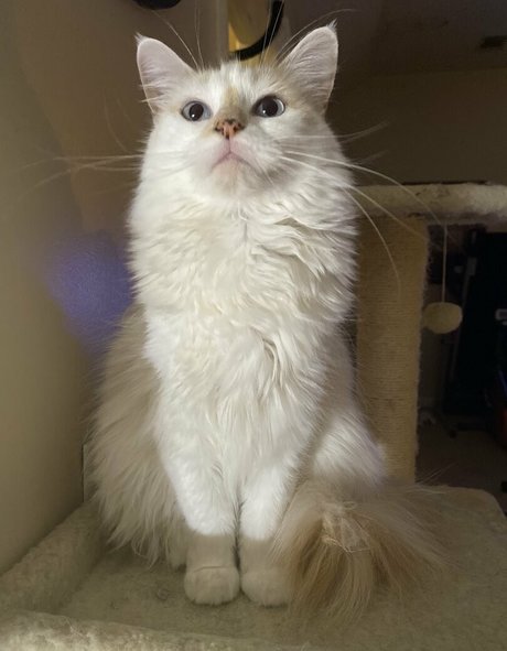 savanahroses erotic star pic