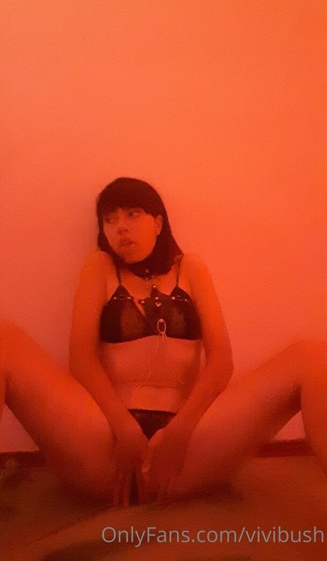 vivibush pornstar adult pictures