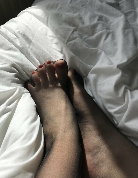 flotudor star exclusive archive