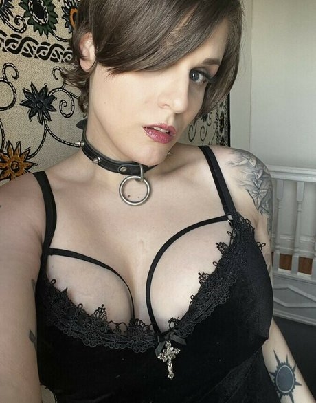 Bloodberry Tart star pretty image