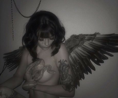 Fleshf1y Profile pic