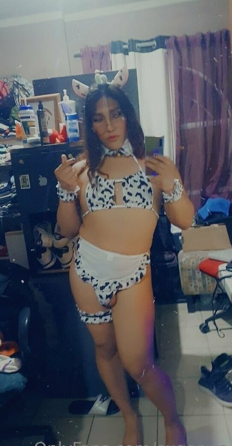 sugar ts exclusive pornstar archive