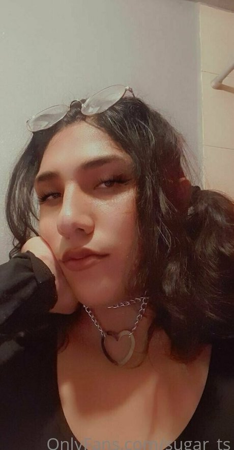 sugar ts adult star pictures