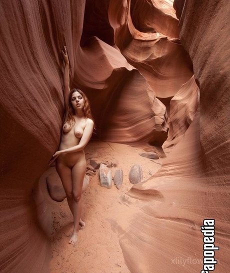 Xlilyflowersx top model pic