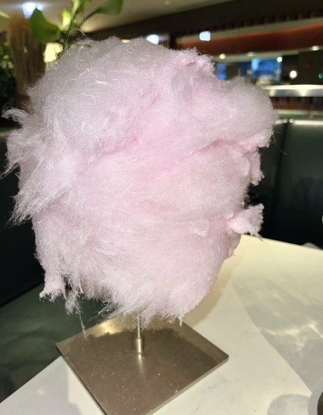 irisinthekitchen model sex photos