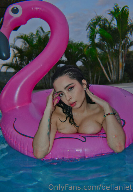 bellaniet pornstar adult archive