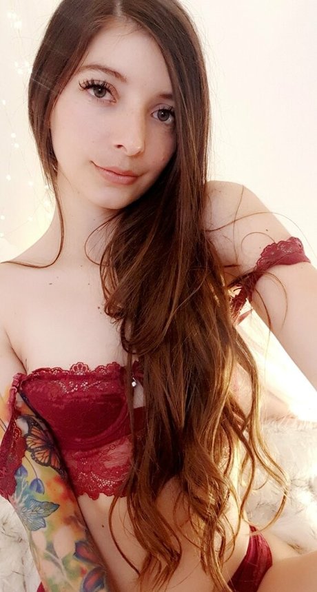 dreamnc xxx star photos