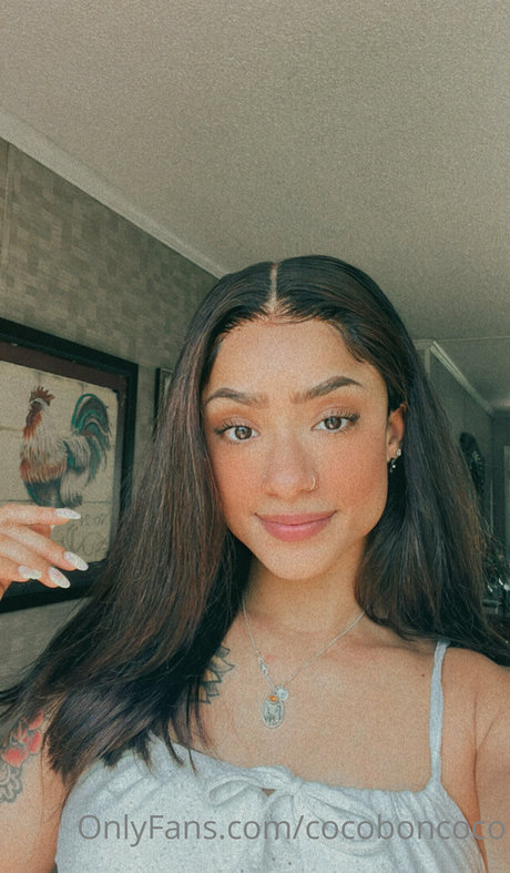 cocofreda hot pornstar archive