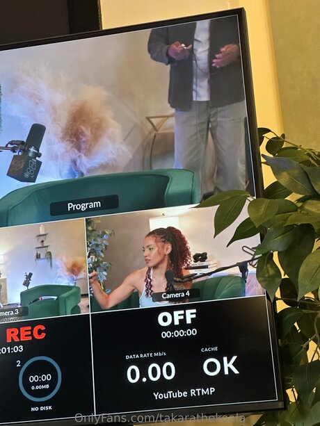 Takarathekoala model img