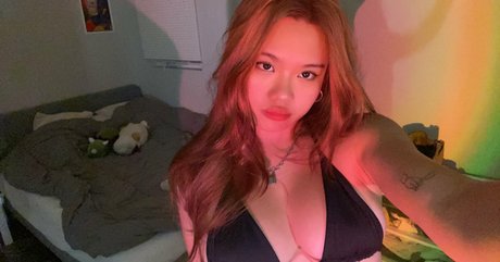 Wahoopunch top pornstar gallery