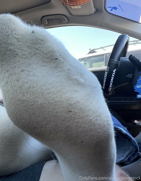 alphacollegejock beautiful pornstar pic