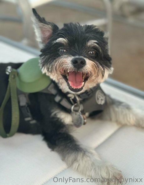 bodybynixx pornstar sex image