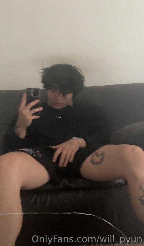 will pyun star art galleries