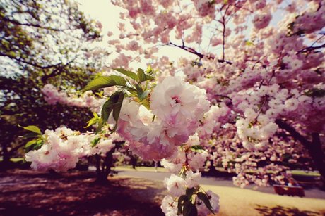 Muscle tanman nudes pornstar images