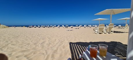 Muscle Boy nice actress galleries