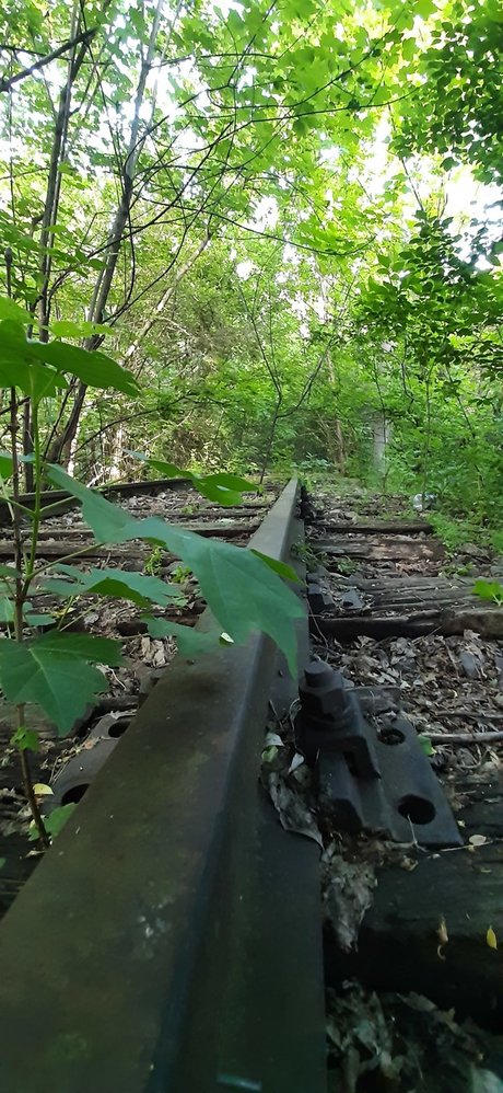 FloriS art pornstar img