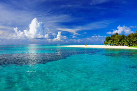 __takeshi_ nude star img