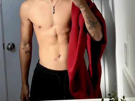 Dylon_ model art picture