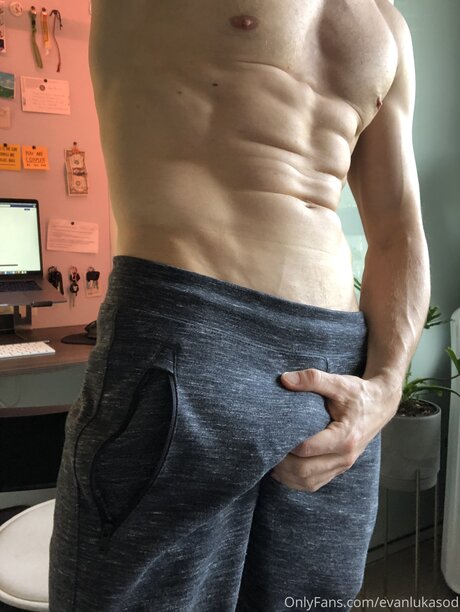 Evan L free to follow la carte pornstar naked pic