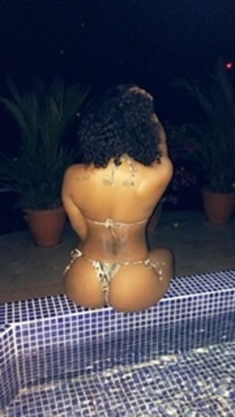 Miami sunshine model top pic