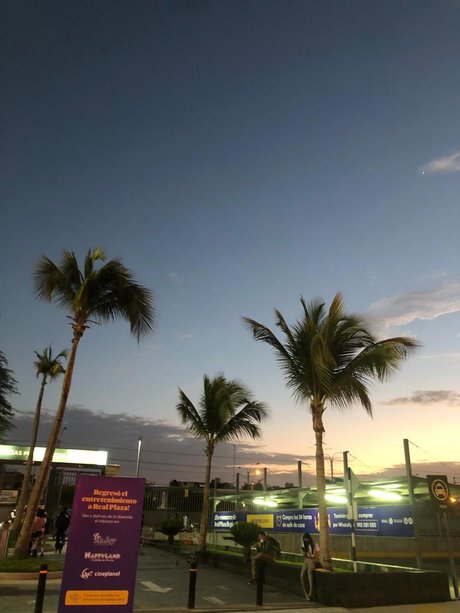 Mayra Rodr guez nudes model pic