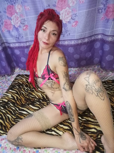 Gatita Feleena pornstar top photo