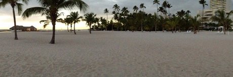 Freddy Pinto_ beautiful actress images