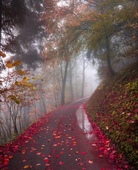 Aconite model pretty pics