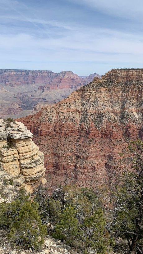 Colin Newman pornstar best photo