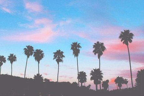 Emma Sunflower model free picture